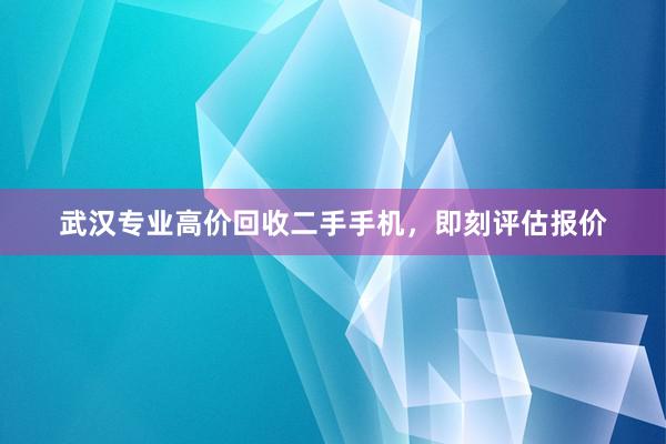 武汉专业高价回收二手手机，即刻评估报价